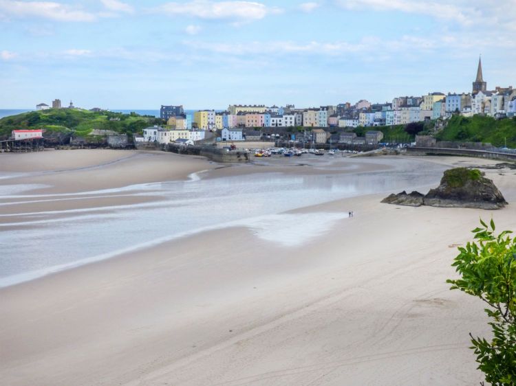 Dog Walks – Dog-Friendly Beaches In Wales